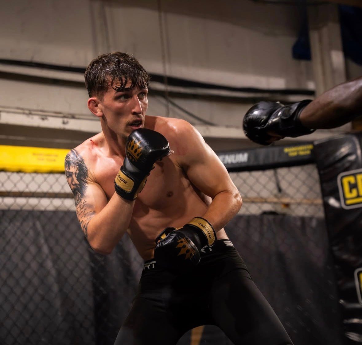 Playerz Power MMA Sparring Gloves - Black/Gold - Playerz Boxing